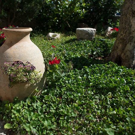 Grandi Trulli Bed & Breakfast Alberobello Eksteriør billede